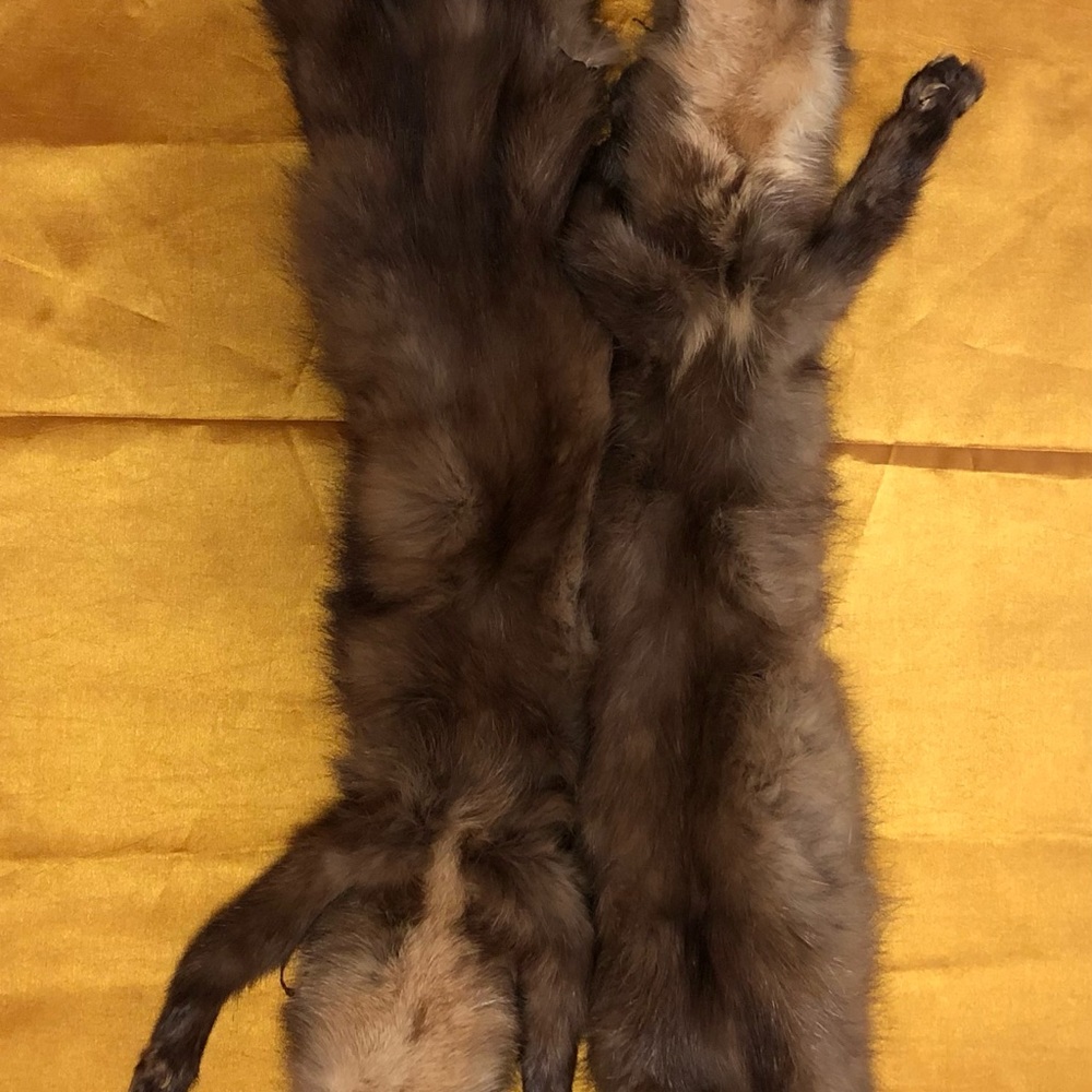Elegant Brown Fur/Mink Collar - Picture 4 of 12
